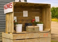 Motueka;Moutere;Mapua;Tasman_Bay;Honesty_box;apple_stall;produce_stall;orchard;o