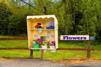 Motueka;Moutere;Mapua;Flower_Stall;honesty_box;Flowers_for_sale