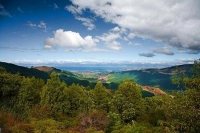 Motueka;Moutere;Mapua;Tasman_Bay;sandy_beaches;beach;beach_front;boating;golden_