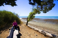 Aerial;Motueka;Moutere;Mapua;Tasman_Bay;sandy_beaches;beach;beach_front;boating;