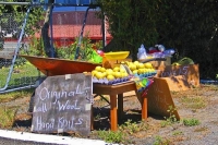 Motueka;Moutere;Mapua;Tasman_Bay;Mapua_produce_stall