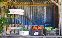 Motueka;Moutere;Mapua;Tasman_Bay;Mapua_produce_stall;Mapua;produce_stall;Mapua;p