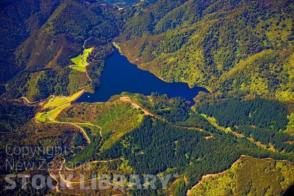 Aerial;Nelson;Tasman Bay;Boulder Bank;bush;native forrest;Nelson Resevoir