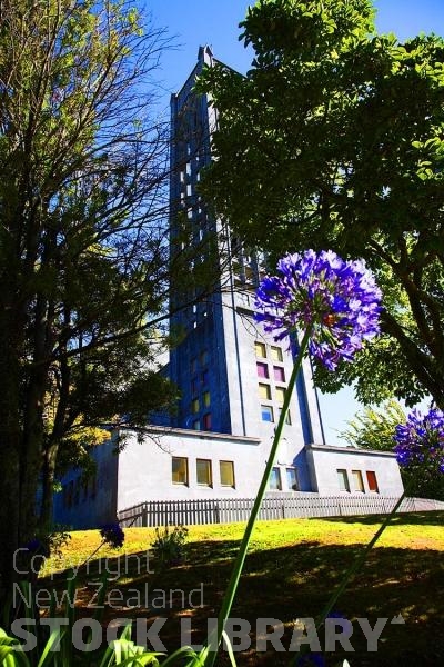 Nelson;Tasman Bay;Nelson Anglican Cathedral;agapanthus;agapanthus flower;bell tower