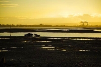 Nelson;Tasman_Bay;Boulder_Bank;sandy_beaches;rocky_shorelines;beach;beach_front;