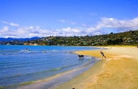 Nelson;Tasman_Bay;Tahunanui_Beach;sandy_beaches;beach;beach_front;boating;golden