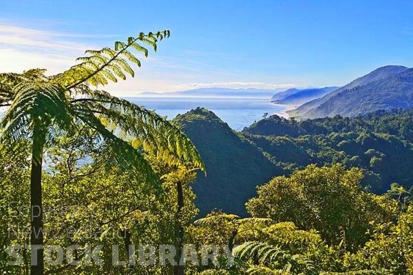 Granity;West Coast;cliffs;bluffs;blue sky;blue sea;bush;native forrest;Rail line;coal mining;coal mine;Tasman sea;Ponga tree fern;Ponga;tree;fern