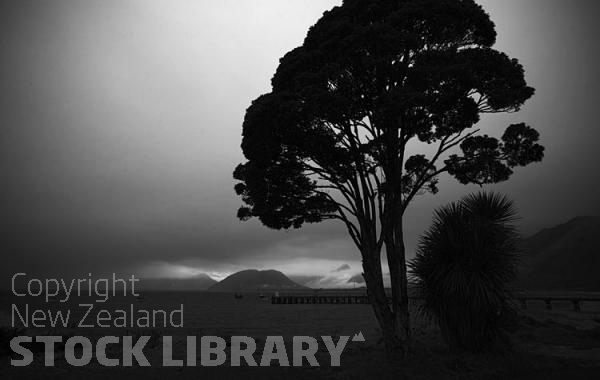 Jacksons Bay;West Coast;mountains;valleys;river;Tasman Sea;Rata Tree;Jackson Bay;Jetty