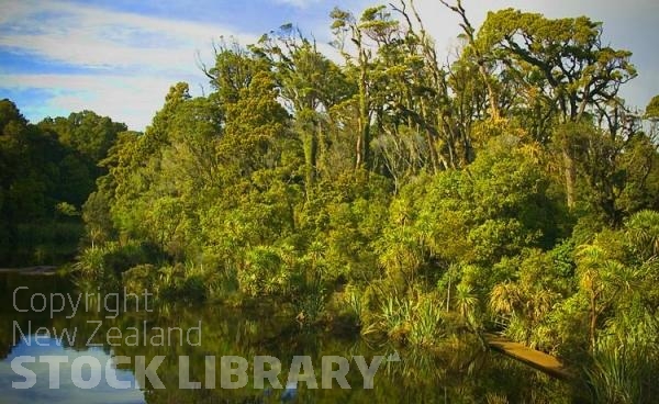 Haast to Hokitika;West Coast;mountains;valleys;river;Tasman Sea;State highway 6;ship creek estuary walk