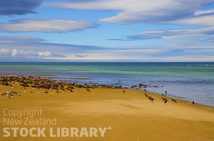 Golden Bay Coast;Golden Bay;Milnthorpe Beach;River;sandy beaches;rocky shorelines;state highway 2;state highway60;bush;native forrest;dairy farming;golden sands;agriculture;grazing;Rivers;lenticular clouds;wave clouds;boulders;Oyster Catchers