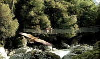 swing_bridge;Hollyford_Track;bush;Hollyford_river;trampers;boulders;rocks;kea;ke