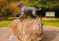 Hunterville;Manawatu;Huntaway;Huntaway_dogs;sculptures;dog_sculpture;sheep_sculp