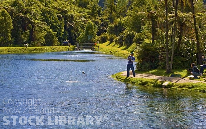 Takaka;Golden Bay;Anatoki Salmon Farm;hills;rivers;Road;bush;native forrest;green fields;green paddocks;lakes;blue sky;cattle;agriculture;dairy farming;state highway 60;Takaka River;Man catches fish;Man;catches;fish