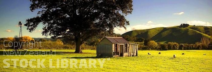 Wakefield;Tasman Bay;Sheep Shed;Paddock;wind pump