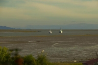 Fishing_Boats;Waimea_Inlet;Nelson;Tasman_Bay