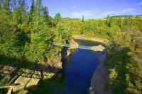 Collingwood;Golden_Bay;Aorere_River;Salisbury_Bridge;bush;native_forrest;rocky_r