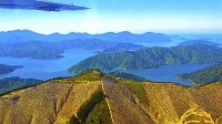 Aerial;Marlborough_Sounds;Marlborough;bush;native_forrest;hills;mountains;Microw
