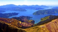 Aerial;Marlborough_Sounds;Marlborough;bush;native_forrest;hills;mountains;Queen_