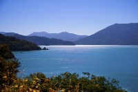 Marlborough_Sounds;Marlborough;bush;native_forrest;hills;mountains;Kenupuru_Soun