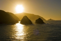 Marlborough_Sounds;Marlborough;bush;native_forrest;hills;mountains;Exit;Queen_Ch