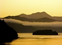Aerial;Marlborough_Sounds;Marlborough;bush;native_forrest;hills;mountains;Picton