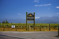 Vineyards;Marlborough;Wairau_Plains;vines;vintners;grapes;Montana_Fairhall_Estat