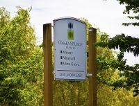 Vineyards;Marlborough;Wairau_Plains;vines;vintners;grapes;Omaka_Springs