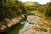Aerial;Rai_Valley;Pelorus_River;Marlborough;Rai_Valley_Township;bush;native_forr