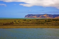 Aerial;Wairau_Plains_and_Coast;Marlborough;vineyards;braided_rivers;Wairau_River