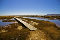 Wairau_Plains_and_Coast;Marlborough;vineyards;braided_rivers;Wairau_River;Wairau