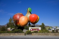 Cromwell;Lake_Dunstan;Otago;Heritage_Museum;churches;church;Clutha_river;fruit_g