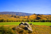 Middlemarch;Otago;Rock_Pillar_Range;sheep;sheep_paddocks