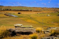 Middlemarch;Otago;Rock_Pillar_Country;rocky_paddocks;bailage;winter_feed;bee_hi