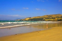 Coast;Otago;Karitane;Seacliff;golden_sands;green_fields;green_paddocks;Rail_line